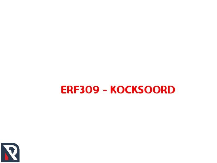 ERF309, LONG27,6510742, LAT-26,2200011, 12 BUITEKANT STREET STREET