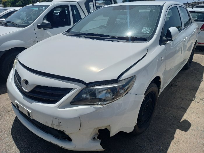 2019 TOYOTA COROLLA (WHITE)