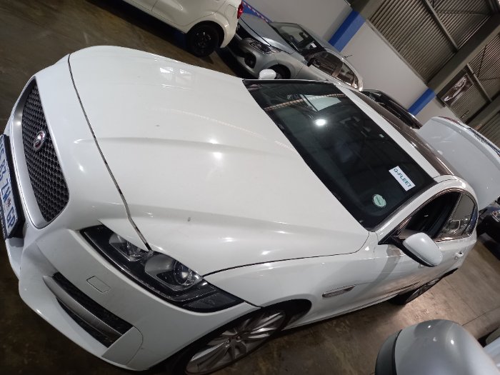 2018 JAGAUR XF (WHITE)