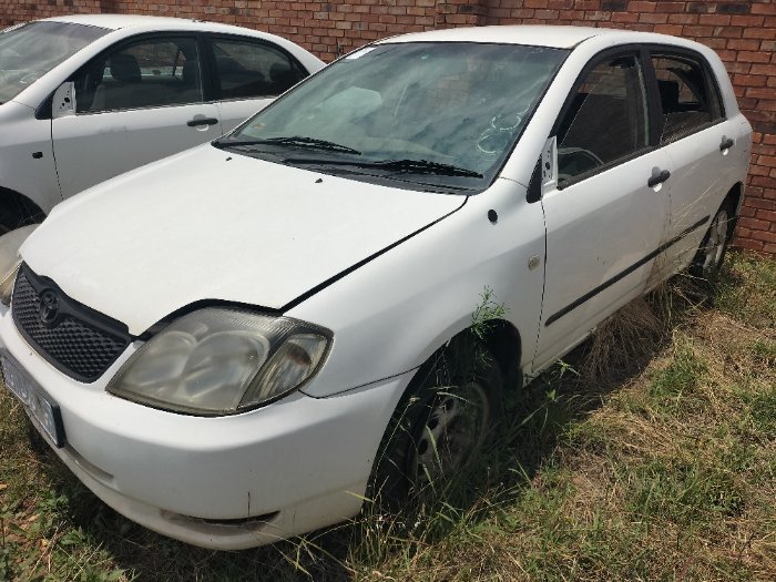 TOYOTA RUNX 1.6 HATCHBACK (WHITE)