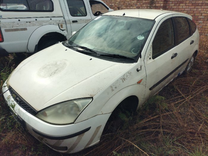 FORD FOCUS (WHITE)
