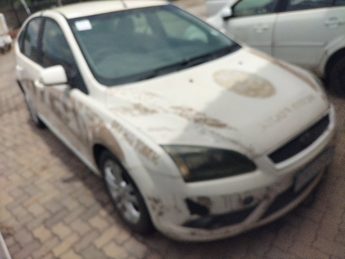 FORD FOCUS (WHITE)