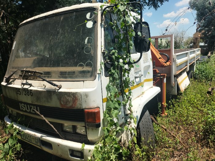 ISUZU TRUCK (WHITE)