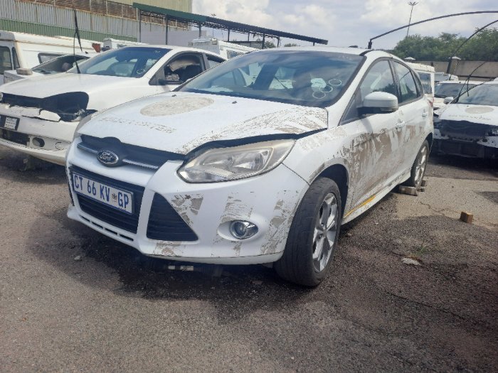 FORD FOCUS (WHITE)