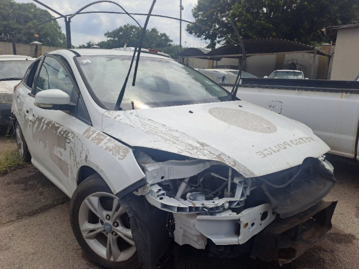 FORD FOCUS (WHITE)