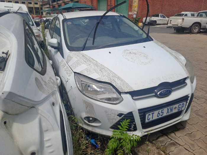 FORD FOCUS (WHITE)