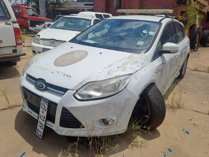 FORD FOCUS (WHITE)