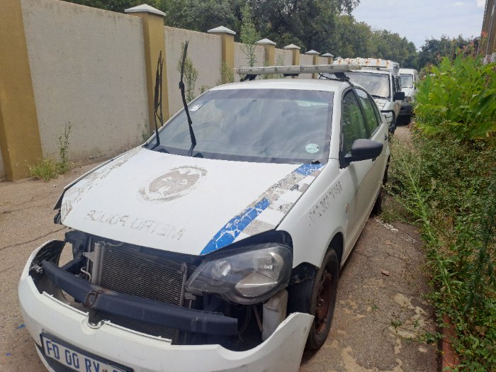 POLO VIVO (WHITE)