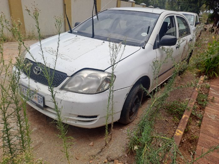 TOYOTA COROLLA (WHITE)