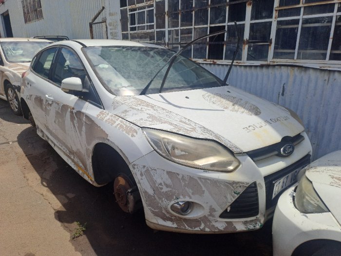 FORD FOCUS (WHITE)