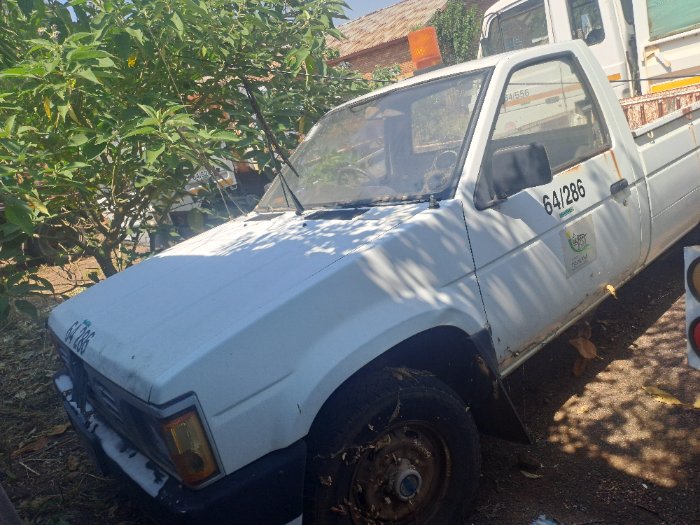 NISSAN HARDBODY (WHITE)